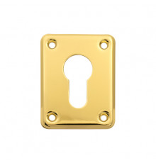 Накладка декоративная Apecs DP-01-C-G (B2B)