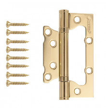 Петля накладная Avers 100*63*2-B2-G
